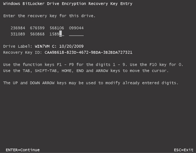 Gaining access to a BitLocker-encrypted drive by typing a 48-character recovery password