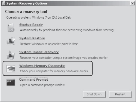 Selecting the Windows Memory Diagnostic recovery tool