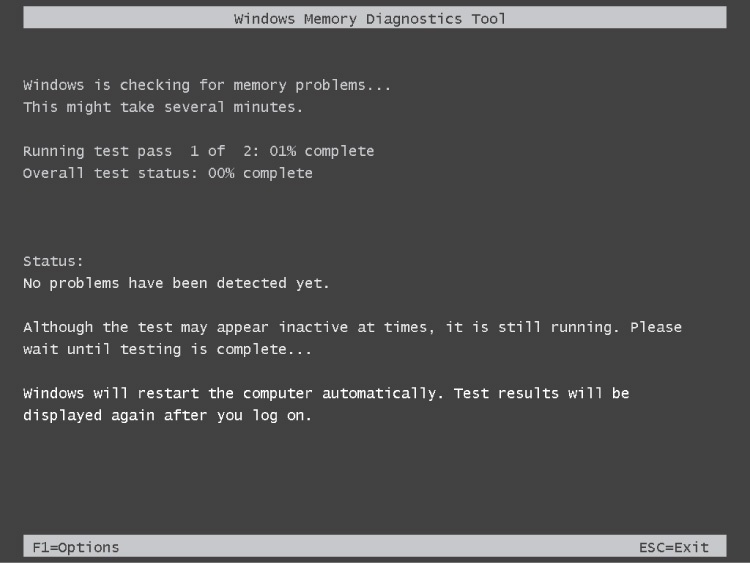 Windows Memory Diagnostic performs two test passes by default.