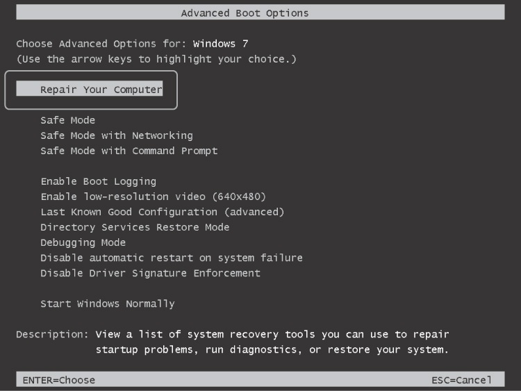 Opening the Windows Recovery Environment from the Advanced Boot Options menu
