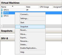 Performing a snapshot on a virtual machine.