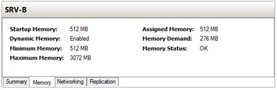 Viewing Dynamic Memory in real time for a virtual machine.