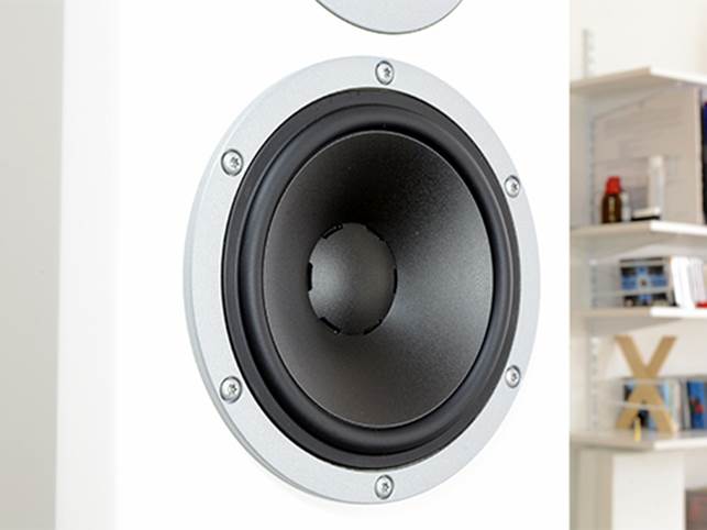 Dynaudio Excite X38 Review 5