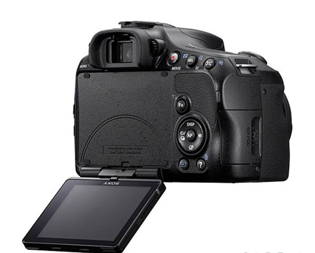 Sony DT 16-50mm F2.8 SSM zoom lens