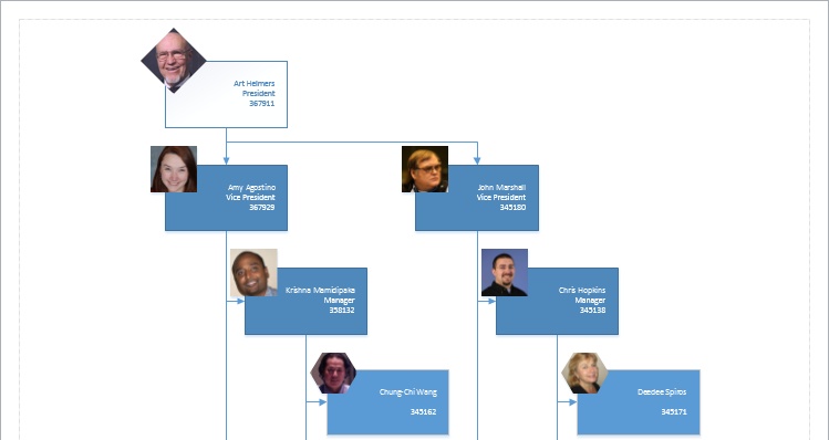 Visio 2013 Org Chart Without Pictures