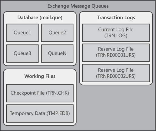 The Exchange message queues are all stored in a single database.