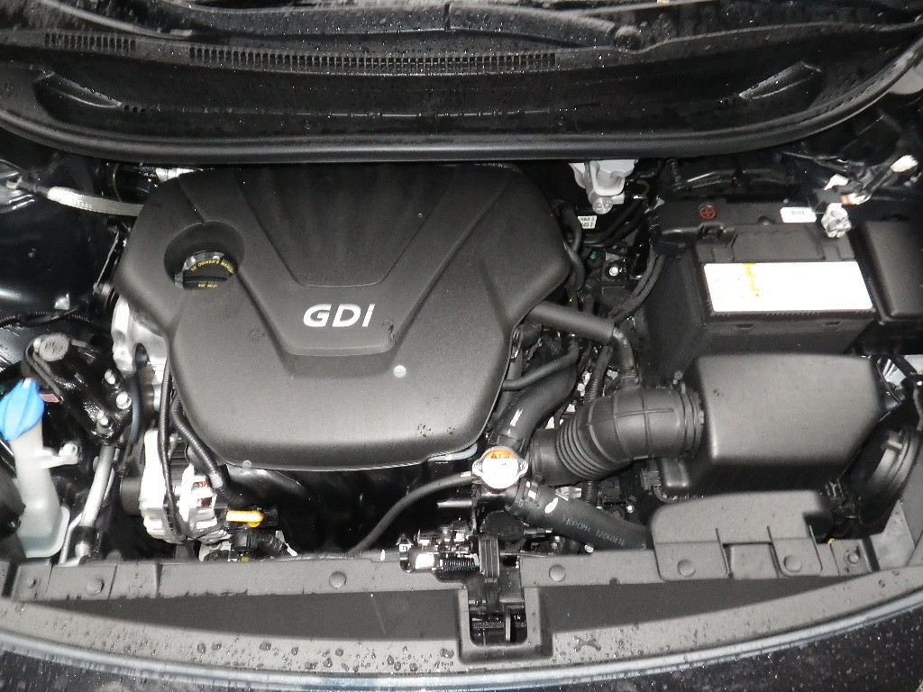 2013 Kia Rio Engine