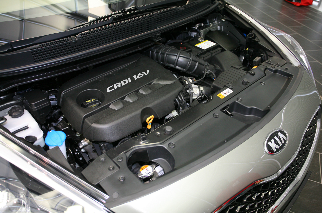 2013 Kia Carens Engine