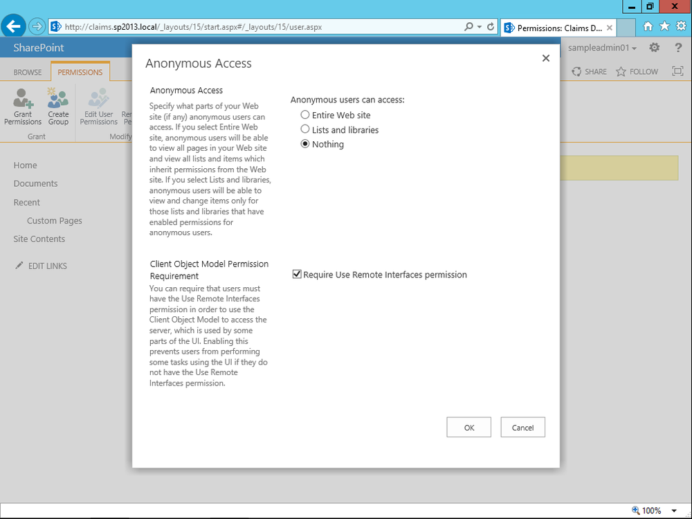 A screen shot of the page for configuring permissions for anonymous users while accessing a specific site collection. There are three options—Entire Web Site, Lists And Libraries, and Nothing—as well as a flag for enabling or disabling anonymous access to the remote client APIs.