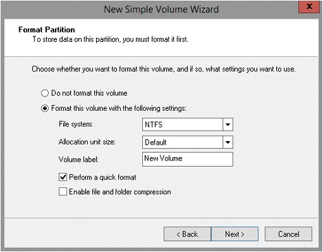 Set the formatting options for the partition.